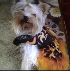 My heart!!! Is not for SALE!!!